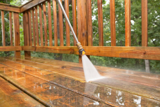 Best Solar Panel Cleaning  in Belmont, VA